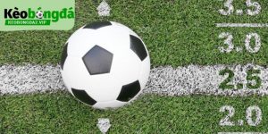 bi-kip-danh-tai-xiu-bong-da