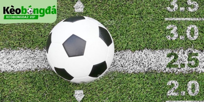 bi-kip-danh-tai-xiu-bong-da