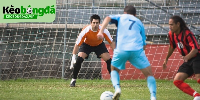 Các vị trí trong bóng đá ở vai trò hậu vệ