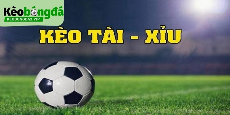 Cách hiểu mốc là nền tảng để bắt tài xỉu.Cách hiểu mốc là nền tảng để bắt tài xỉu.