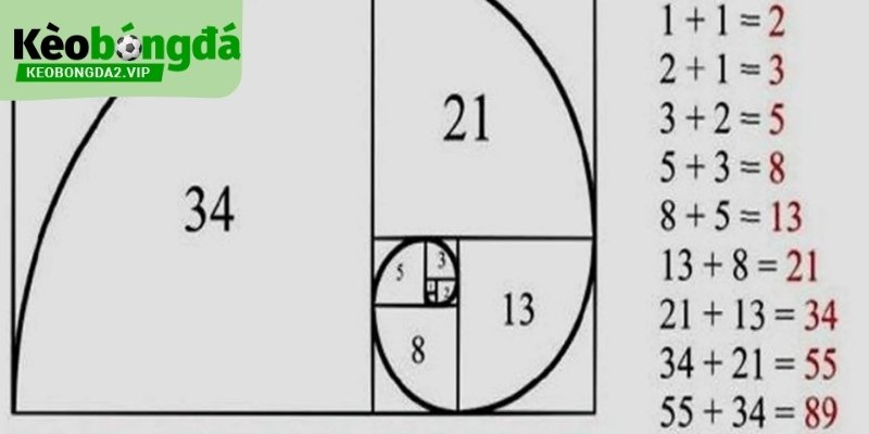 chien-thuat-fibonacci