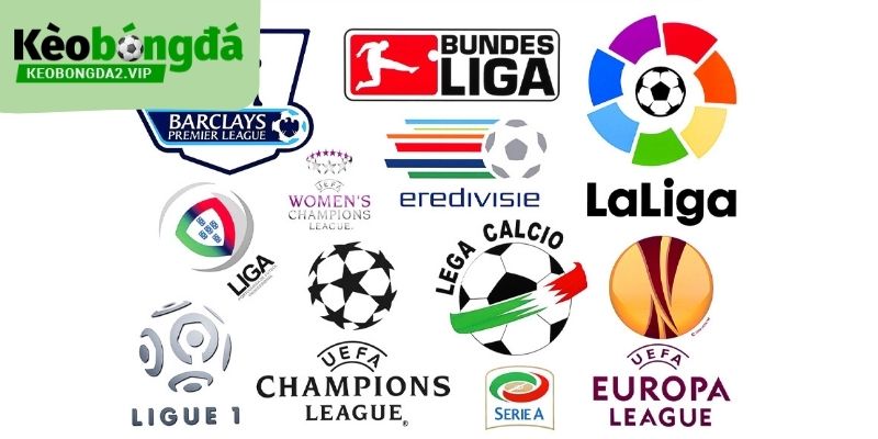 Kèo Bóng Đá cung cấp nguồn dữ liệu phong phú về tất cả các giải đấu nổi bật