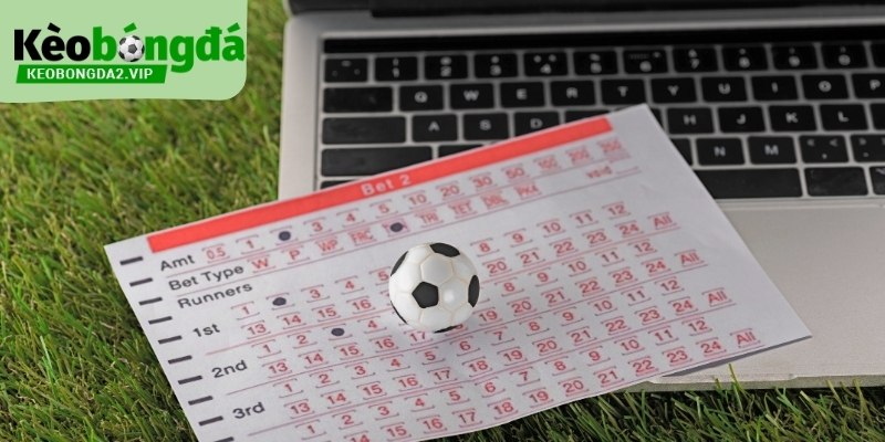 Cấp độ mốc chấp phản ánh mức độ chênh lệch chuyên môn.