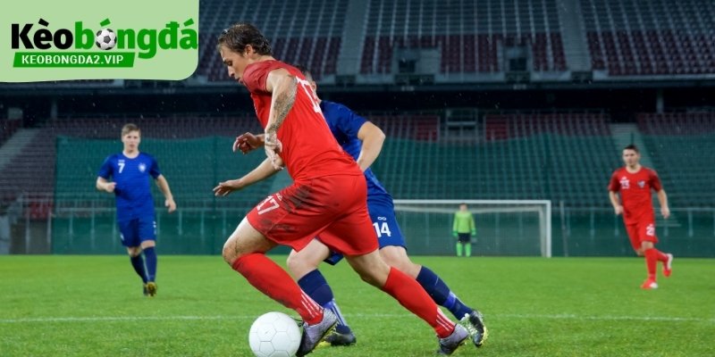 Kinh nghiệm cược bóng đá đọc dữ liệu giúp đọc trận có chiều sâu