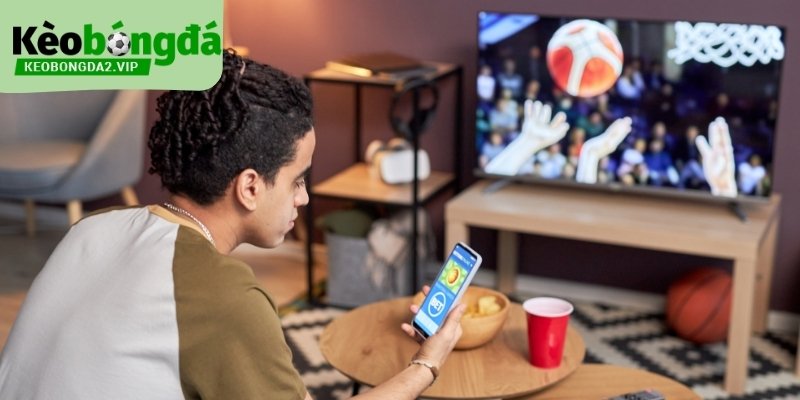 Mẹo cá độ bóng đá dữ liệu giúp tránh nhận định sai lệch.