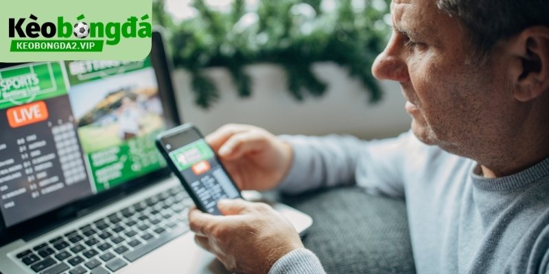 Mẹo cá độ bóng đá nhịp trận giúp đọc diễn biến sâu hơn.