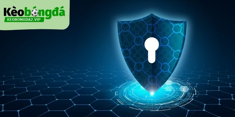 Miễn trừ trách nhiệm xác định rõ phạm vi bảo vệ và quyền lợi của người dùng