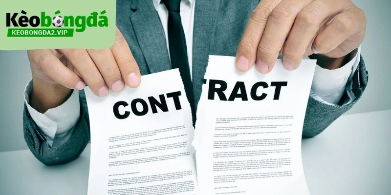 Miễn trừ trách nhiệm áp dụng cho mọi người dùng khi truy cập Kèo Bóng Đá