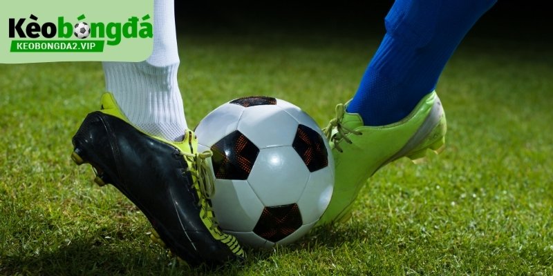 Thuật ngữ trong kèo bóng đá là nền tảng để giải mã bảng kèo 