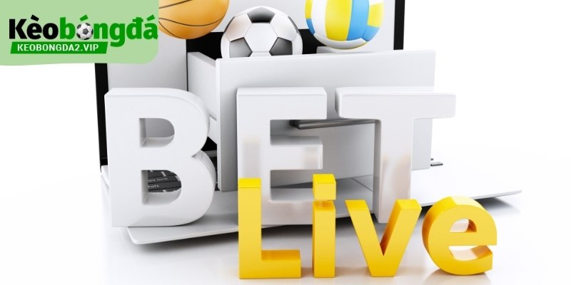 Cấu trúc thông tin là nền tảng của trang cá cược thể thao.