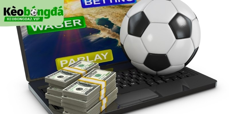 Trang cá cược thể thao