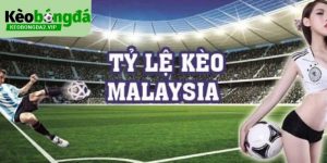 ty-le-malaysia