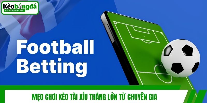 Mẹo chơi kèo tài xỉu thắng lớn từ chuyên gia