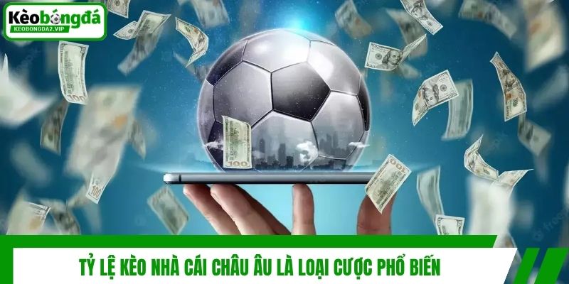 Tỷ lệ kèo nhà cái châu Âu là loại cược phổ biến